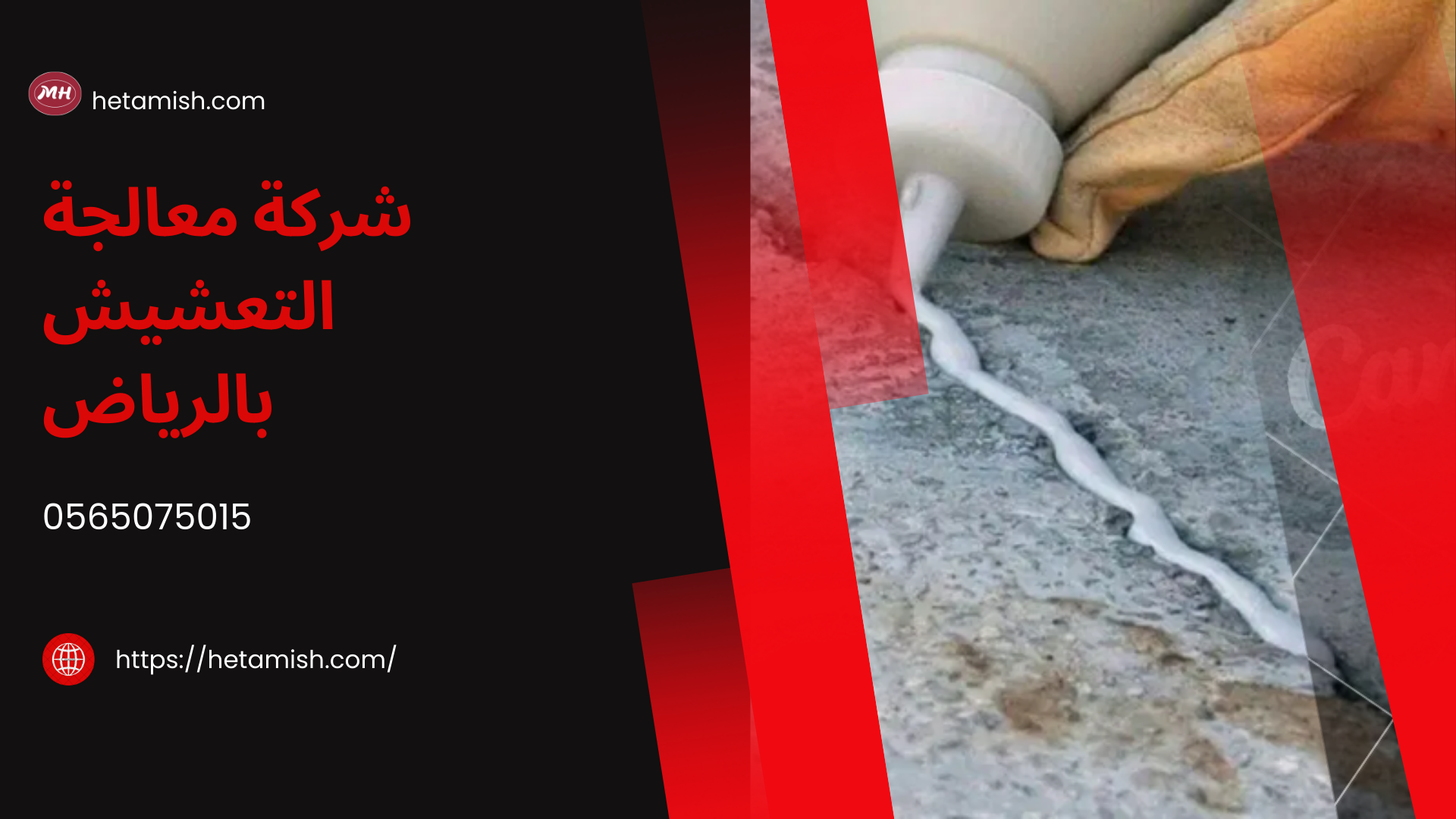 شركة معالجة التعشيش بالرياض